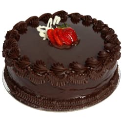 Tasty Choco Truffle Cake