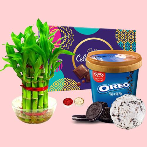 Pious Combo of Lucky Bamboo Plant, Kwality Walls Oreo Ice Cream n Chocolates