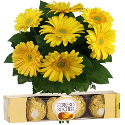 Yellow Gerberas N Ferrero Rocher Combo