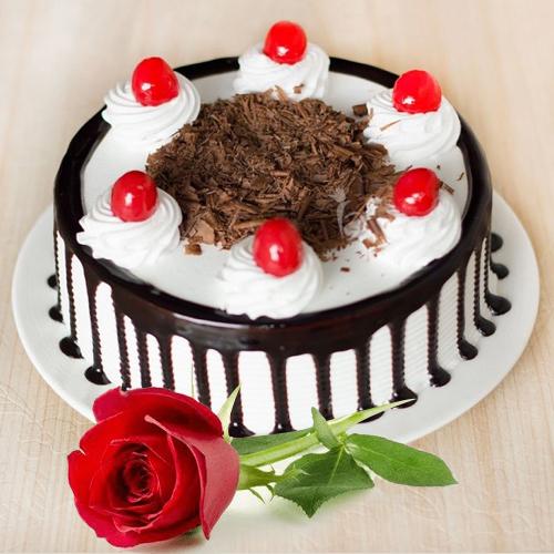 Rose Day Cake n Single Rose Combo