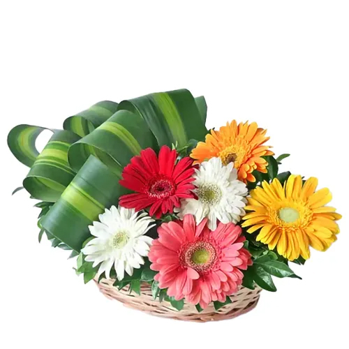 Dazzling Assorted Gerberas Arrangement