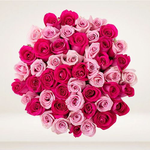 Stunning Bouquet of Red N Pink Roses with Green Leaves