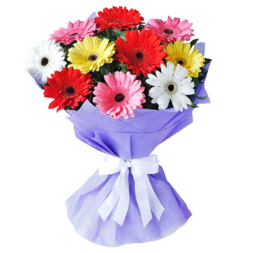 Classic Tissue Wrapped Multicolour Gerberas Bouquet