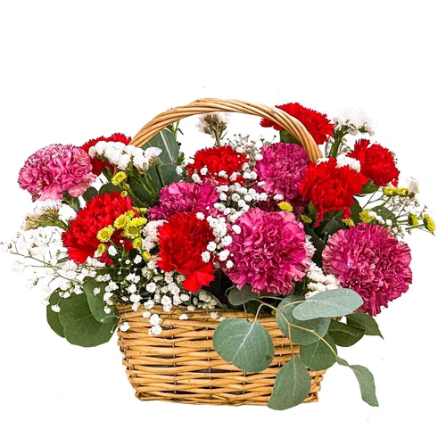 Dazzling 30 Varied Carnations in a Fabulous Arrangement