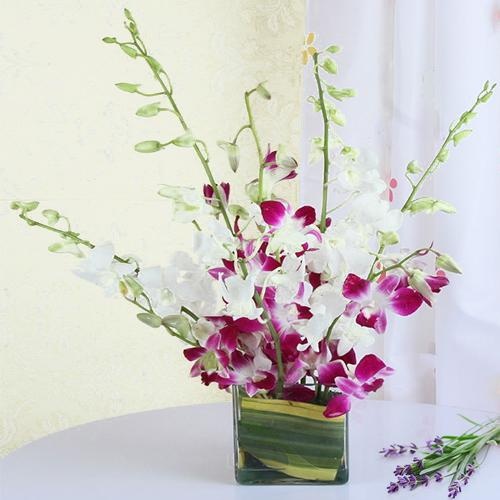 Lovely Orchids in Vase