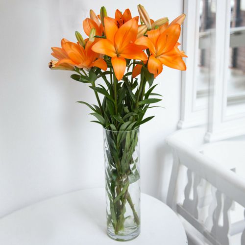 Long Stem Lilies in a Vase