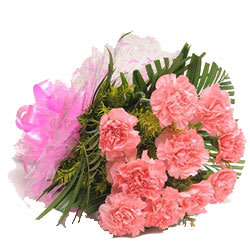 Elegant Bunch of Pink Carnations