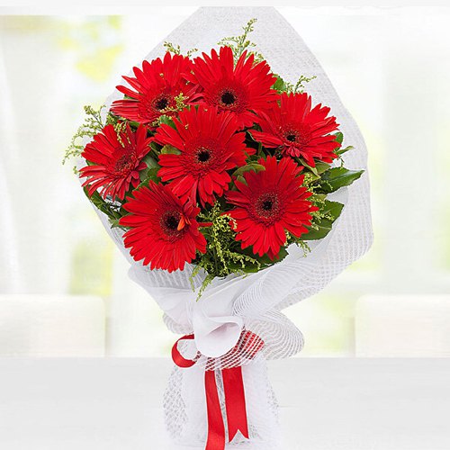 Stunning Red Gerberas Bouquet