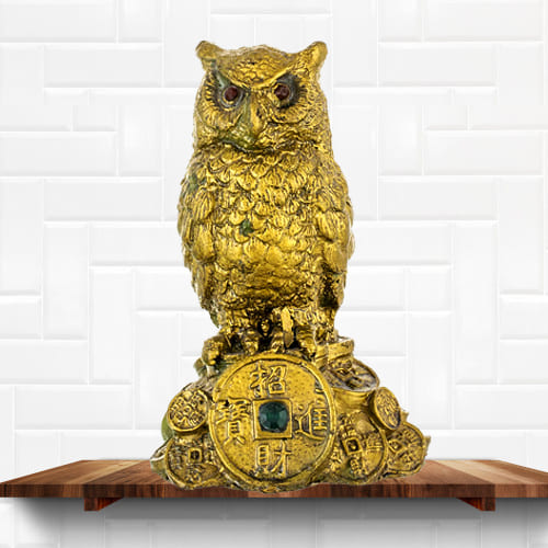 Impressive Feng Shui Owl Showpiece for Money and Wisdom