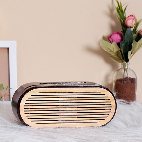Amazing Mobile Sound Amplifier with Spotify Plaque