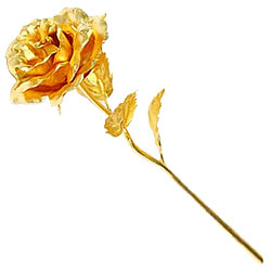 Wonderful Golden Rose Stick