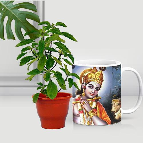 Auspicious Holy Tulsi Plant in Printed Coffee Mug