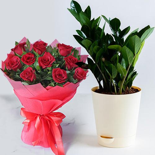 Blossoming Gift Combo of Zamia Plant N Flowering Rose Bouquet