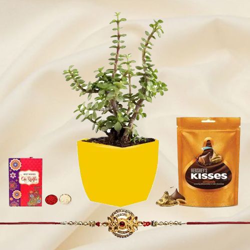 Arresting Metal Rakhi N Jade Plant