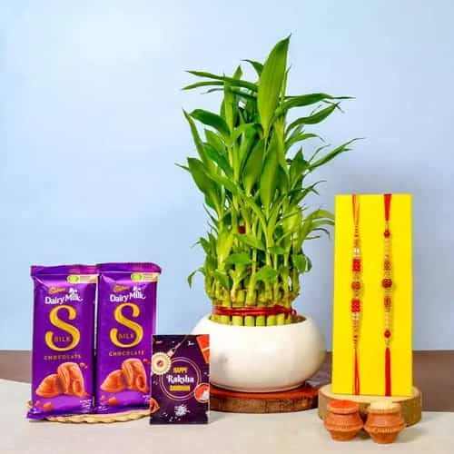 Lucky Charm Bamboo with AD Rakhi N Cadbury