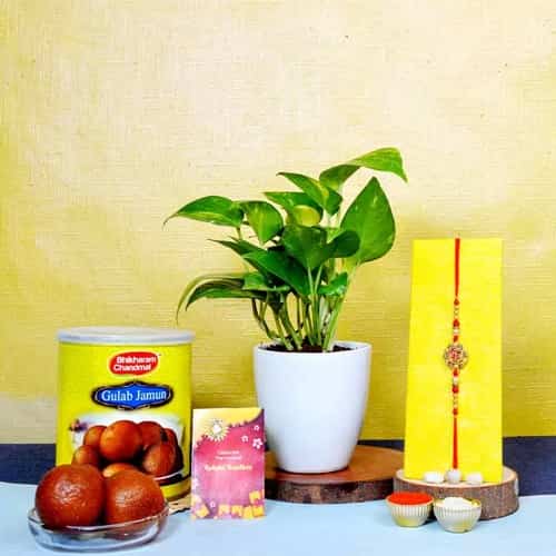 Multicolor Swastik Rakhi n Money Plants with Gulabjamun